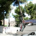Ospedale di Gravina, sospensione del servizio di Neurologia