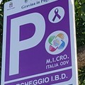 Inaugurato il primo parcheggio con strisce viola