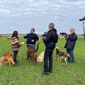 Il Parco Nazionale dell’Alta Murgia protagonista a Linea Verde