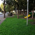 E’ partita la manutenzione delle aree verdi