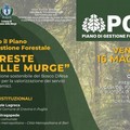 "Foreste delle Murge": Verso il Piano di Gestione Forestale
