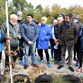 Da due a quattro. Il Comune raddoppia le querce piantate al bosco