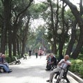 Viale intitolato a Filippo D’Agostino