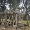 La Pineta, un bene pubblico bistrattato