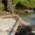 5 Stelle: alla “Pentecchia” tanti soldi ma il ponte non c’è