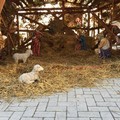 In Comune la benedizione del presepe e dei Bambinelli