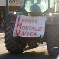 Gli agricoltori alzano la testa