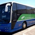 Bus navetta gratuiti per raggiungere Max Gazzè