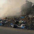 I reati ambientali