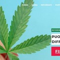 Referendum Cannabis, risolti i problemi con le firme