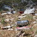 Bosco Difesa Grande: posizionata una campana per la raccolta della plastica