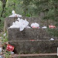 Pulizia del bosco per la giornata dell’ambiente