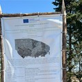 Rimboschimento, controreplica di Calculli e Quercia a Lagreca