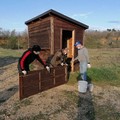 Vandali in azione al bosco