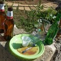 Birra e degrado a volontà a Fondovito