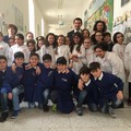Educazione civica a Palazzo di città