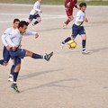 Stadio, Valente si difende