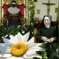 Una suora di Gravina si è spenta a Bologna