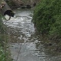 Divieto di approvvigionamento dal torrente Jesce