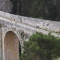 Trail delle 5 querce: una V edizione a gonfie vele