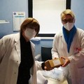 Inizia la fase 1 della vaccinazione contro il Covid-19