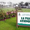 Vuoi adottare un’area verde? Ora puoi