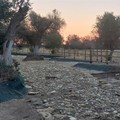 “Via Appia: un Po' di chiarezza”