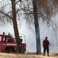 Emergenza incendi, varato il piano regionale