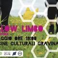 Yellow Limbo, la  "danza delle api "