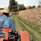 Carburante agricolo, la Regione Puglia sostiene le imprese agricole