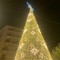 Acceso l’albero di Natale in Piazza Scacchi