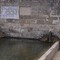 Rigenerazione della via dei Piloni