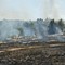 Incendio nei pressi della zona archeologica Padre Eterno