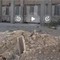 Sicurezza cantiere stadio Vicino: segnalazione dei consiglieri Quercia e Calculli