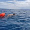Un gravinese conquista lo stretto di Messina