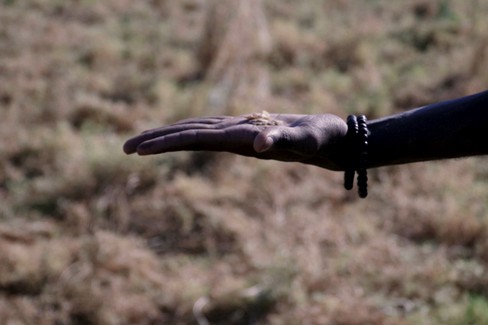 campagna no al caporalato- consorzio lenticchia Altamura