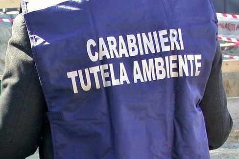 nucleo operativo ambientale - carabinieri noe