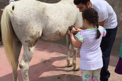 ippoterapia per bambini al centro Dahlia