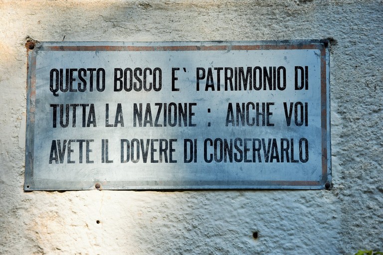 foto bosco