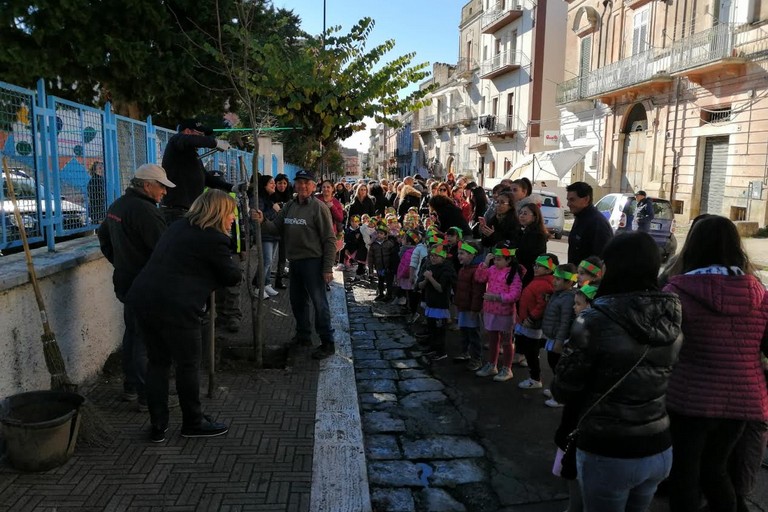 giornata nazionale degli alberi