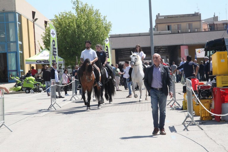 Fiera degli animali 2018