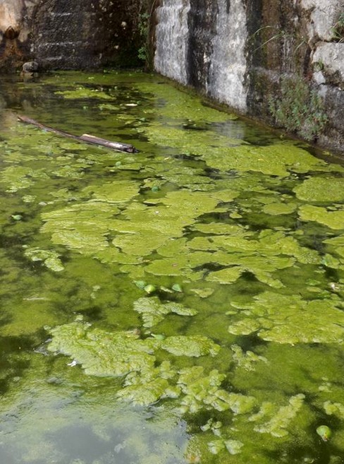 fontana la stella degrado