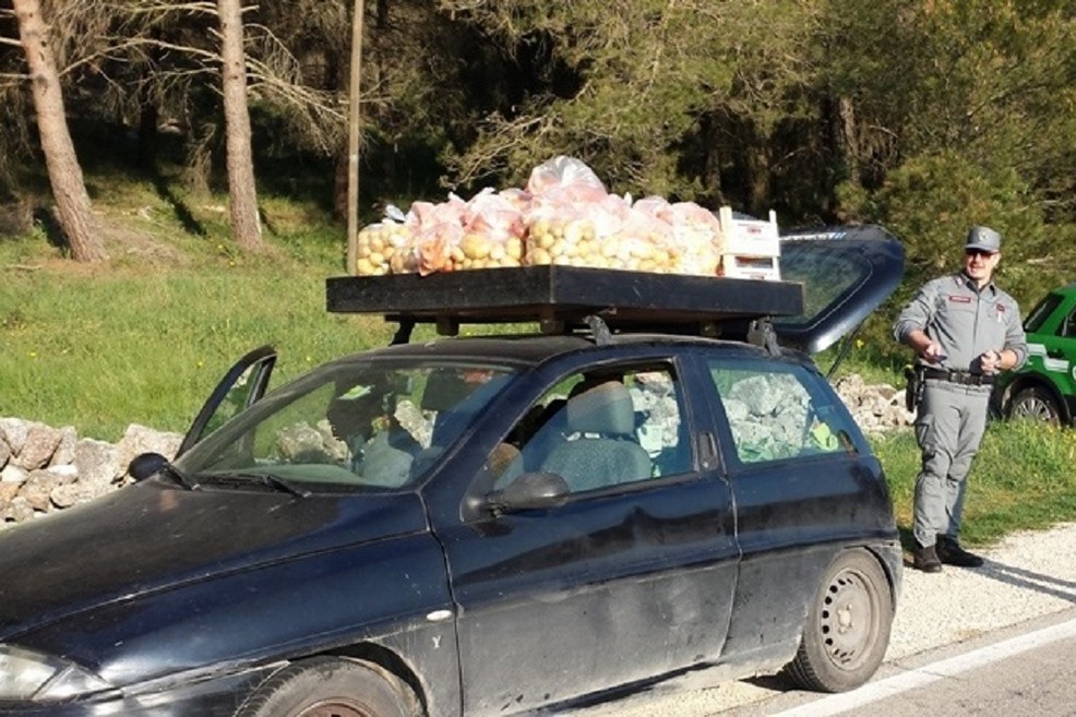 Controlli carabinieri forestale ortofrutta