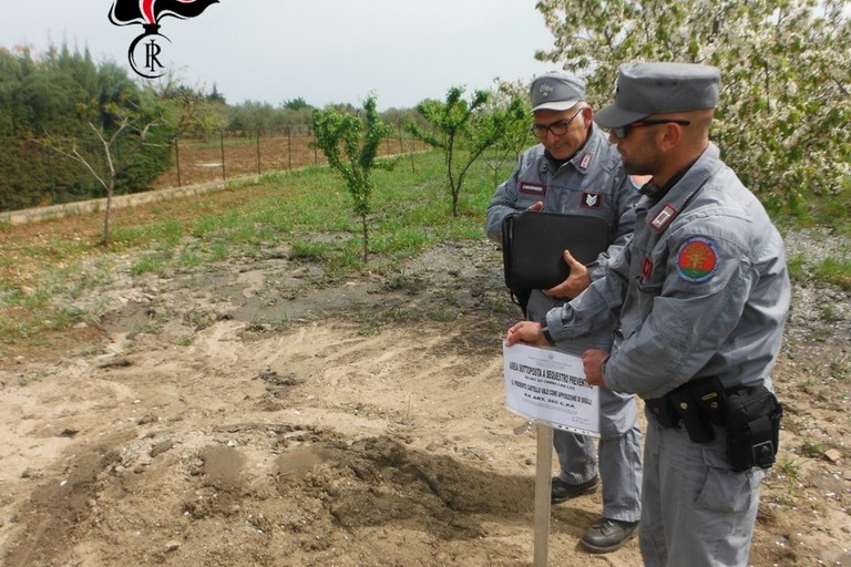 operazione forestale corato