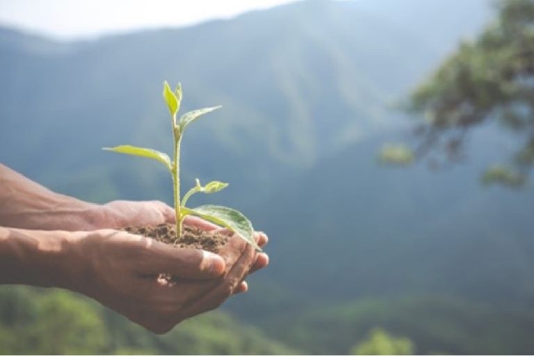 Ambiente: il messaggio positivo della Bibbia