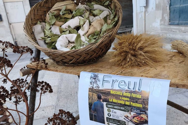 freul