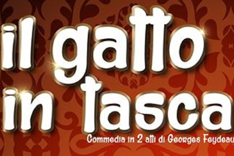 Il gatto in tasca