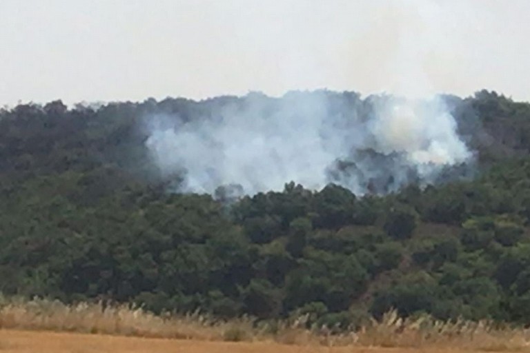 incendio bosco gravina