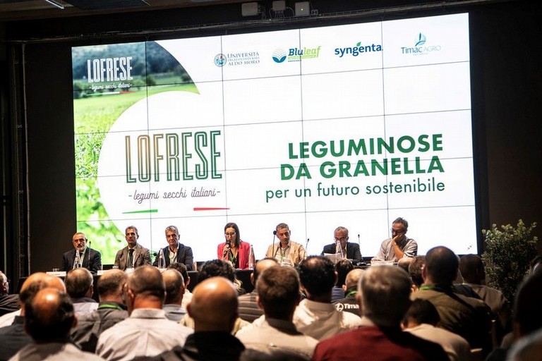 incontro leguminosa