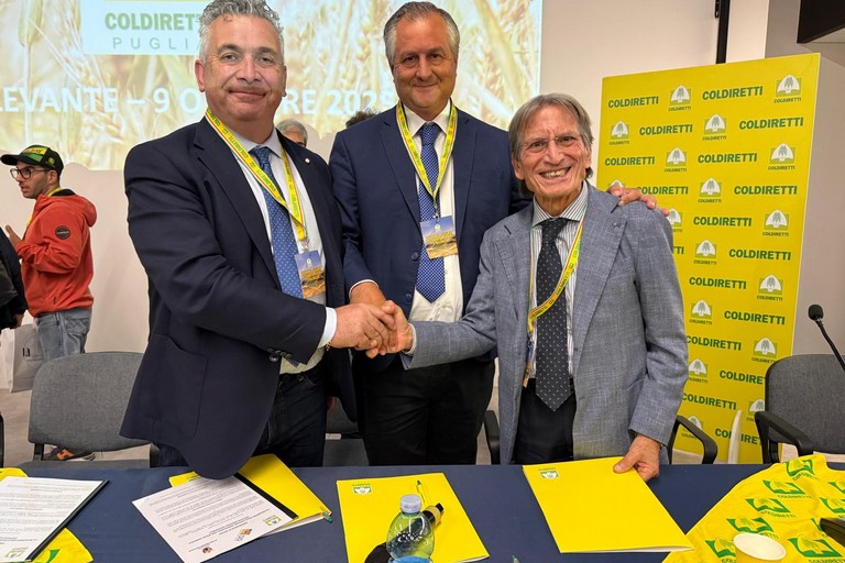 intesa coldiretti fondazione